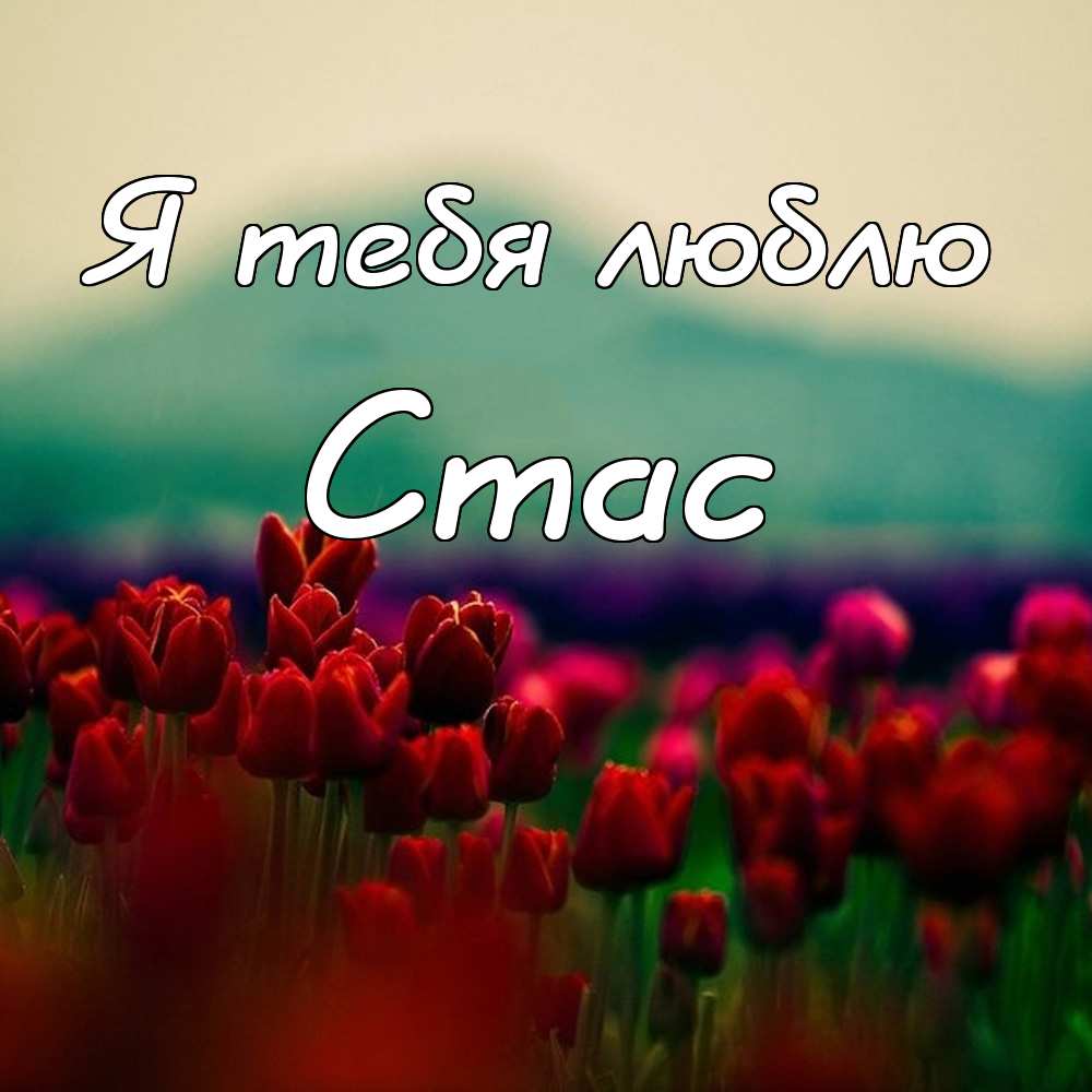 С днём рождения Станислав открытки. Открытки с именем Стас скачать бесплатно.