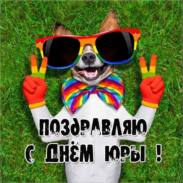 Скачать открытки с именем Юра. С днём рождения Юрий открытки. Поздравительные...