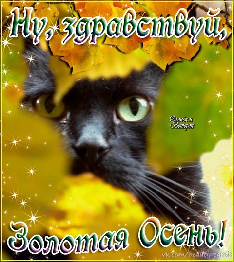 Чудесные открытки на тему Золотая Осень скачать бесплатно gif.