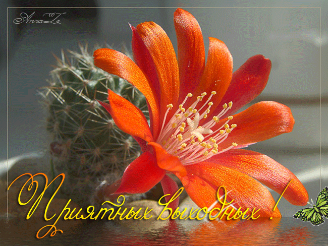 Красивые открытки замечательных выходных. Открытки хороших выходных скачать б...