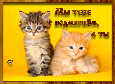 Весёлые открытки с пожеланиями улыбнись. Открытки с улыбкой скачать бесплатно.