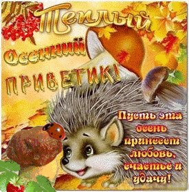 Красивые анимационные открытки с различными приветствиями скачать бесплатно.