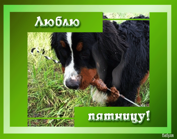 Прикольные открытки на пятницу. Открытки с пожеланиями на пятницу скачать бес...