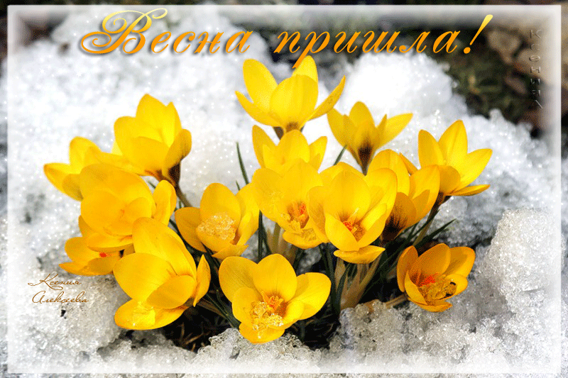 Красивые мерцающие открытки на весеннюю тематику. Скачать бесплатно открытки ...