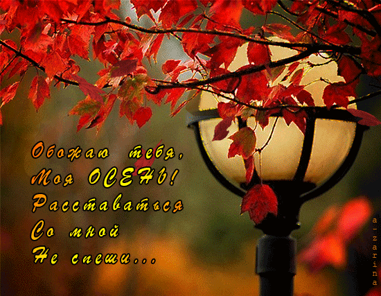 Оригинальные открытки с изображением осени. Открытки осень скачать бесплатно.