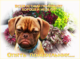 Открытки с пожеланиями легкого понедельника скачать бесплатно.