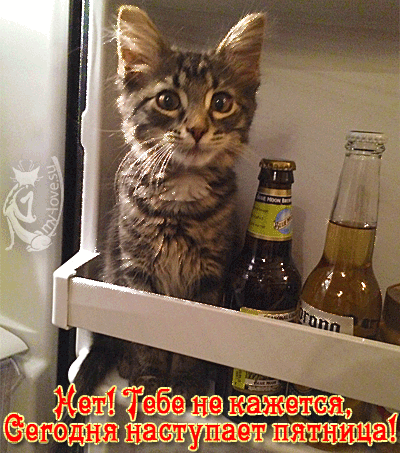 Прикольные открытки на пятницу. Открытки с пожеланиями на пятницу скачать бес...