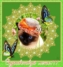 Мерцающие открытки с бабочками. Открытки с красивыми бабочками скачать беспла...