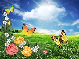 Мерцающие открытки с бабочками. Открытки с красивыми бабочками скачать беспла...