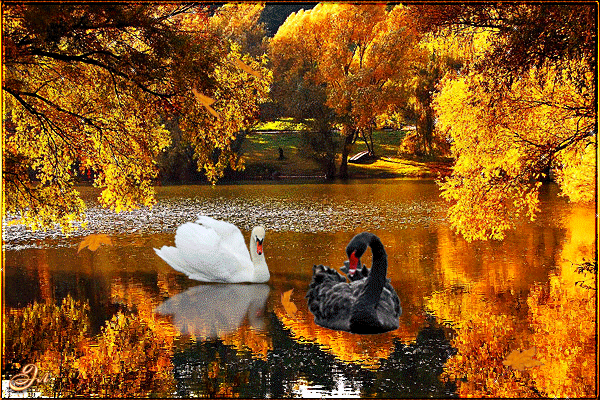 Оригинальные открытки с изображением осени. Открытки осень скачать бесплатно.