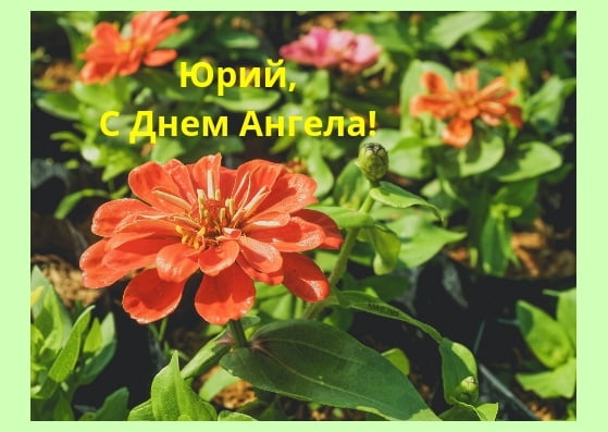 Скачать открытки с именем Юра. С днём рождения Юрий открытки. Поздравительные...