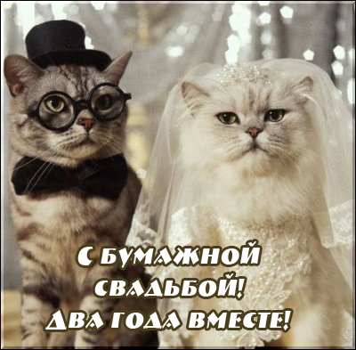 Анимационные поздравления на Бумажную свадьбу 2 года. Поздравительные картинк...