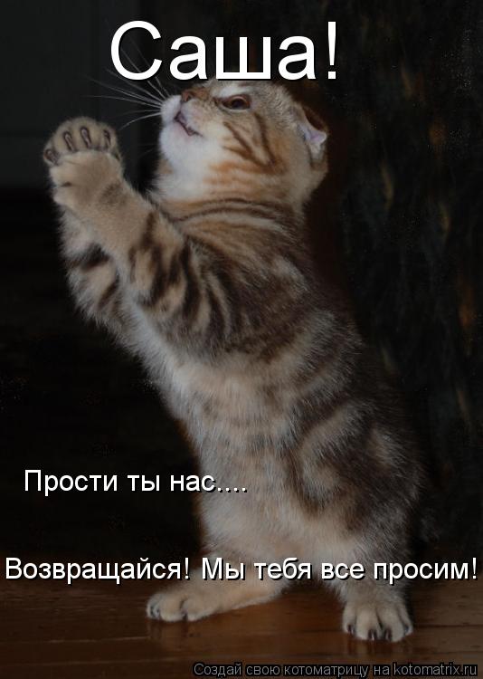 Открытки с именем Александра скачать бесплатно. Поздравительные открытки с им...