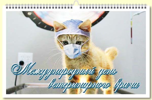 Поздравительные открытки с днем ветеринара скачать бесплатно.