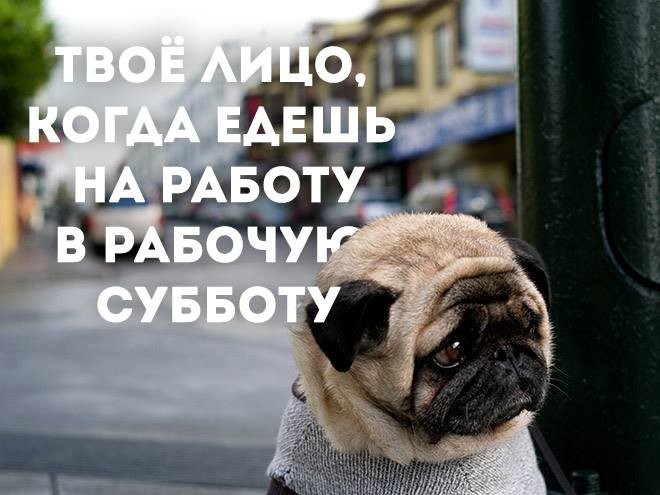 Интересные открытки на субботу. Веселые открытки на выходные.