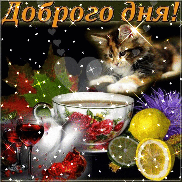 Открытки с пожеланиями хорошего дня. Скачать бесплатно открытки удачного дня.