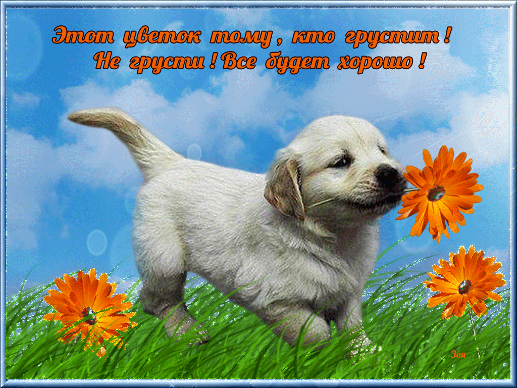 Мерцающие открытки с пожеланиями не грустить. Открытки не грусти скачать бесп...