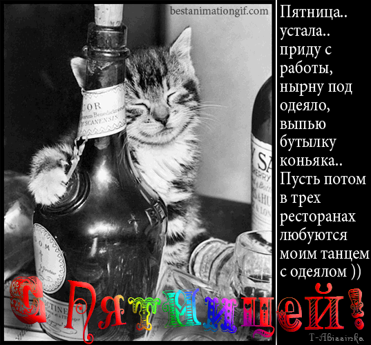 Прикольные открытки на пятницу. Открытки с пожеланиями на пятницу скачать бес...