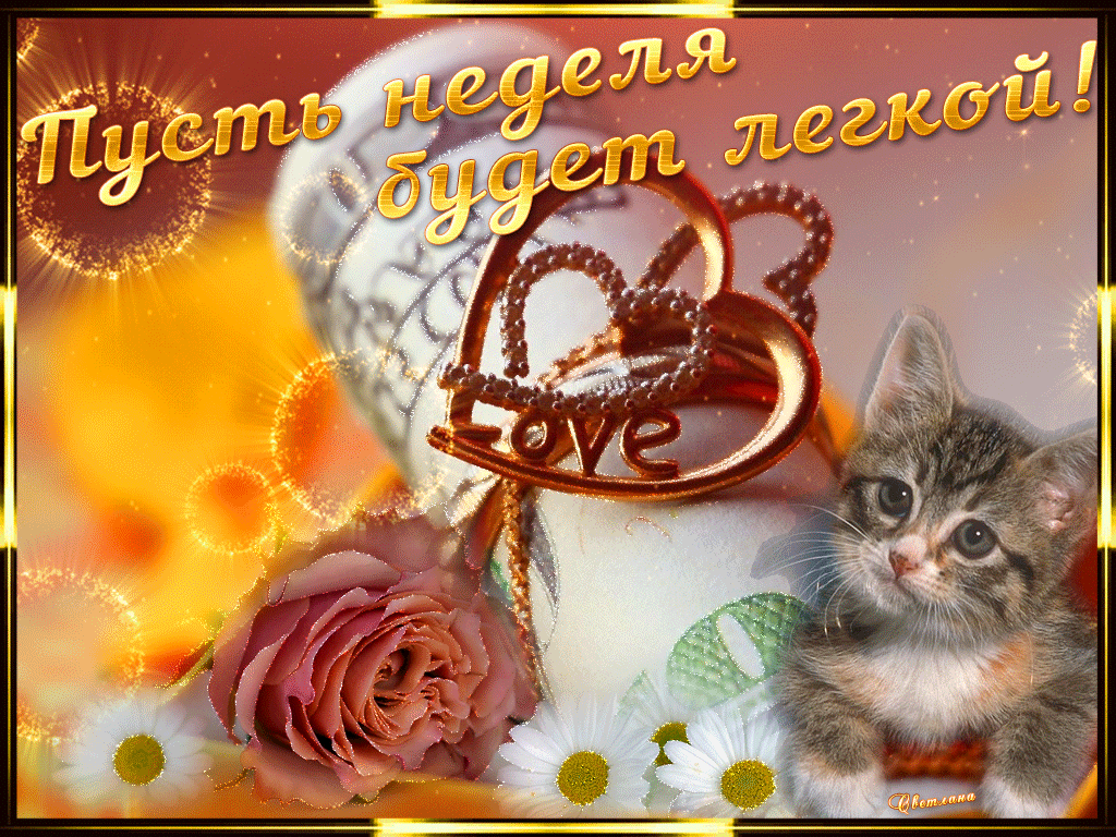 Забавные открытки с пожеланиями удачной недели. Открытки удачной недели скача...