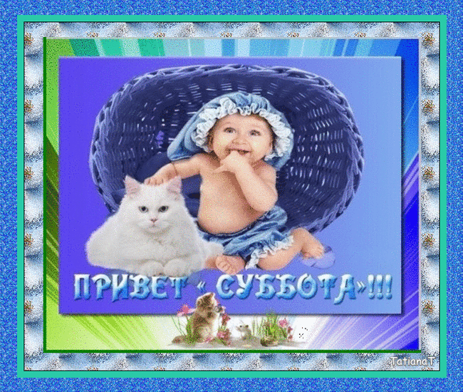 Интересные открытки на субботу. Веселые открытки на выходные.