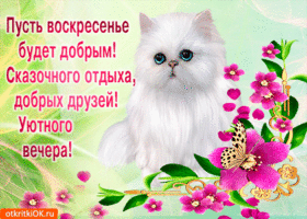 Мерцающие открытки про воскресенье. Открытки на воскресное утро.