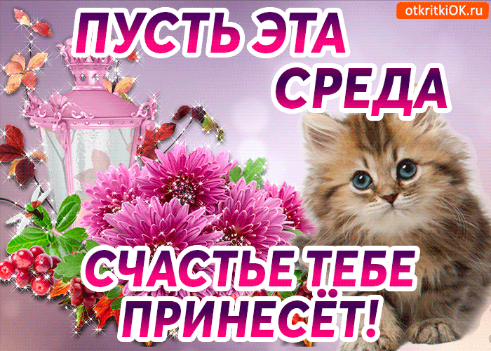 Открытки с пожеланиями отличной среды. Красивые открытки на среду.