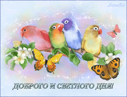 Открытки с пожеланиями хорошего дня. Скачать бесплатно открытки удачного дня.