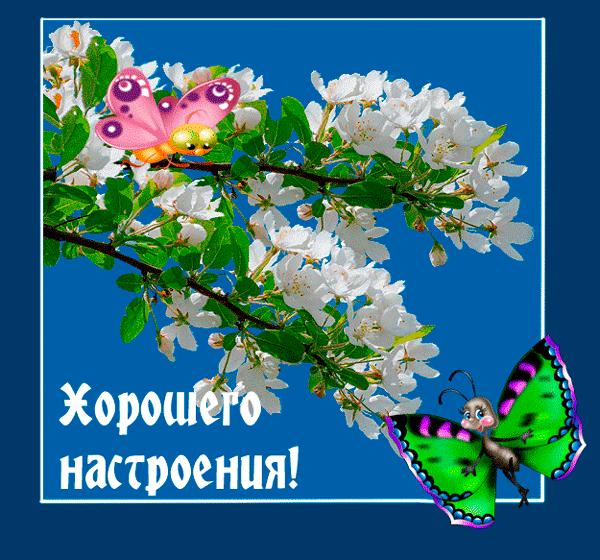 Открытки Позитивные открытки с пожеланиями хорошего настроения скачать бесплатно. Открытки отличного настроения скачать бесплатно. Картинки для хорошего настроения. Открытки хорошего настроения gif. Позитивные открытки с пожеланиями хорошего настроения.