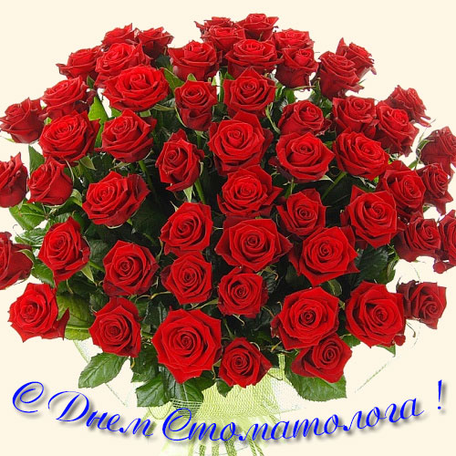 Открытки с днем стоматолога коллегам. Открытки с днем стоматолога скачать бесплатно.