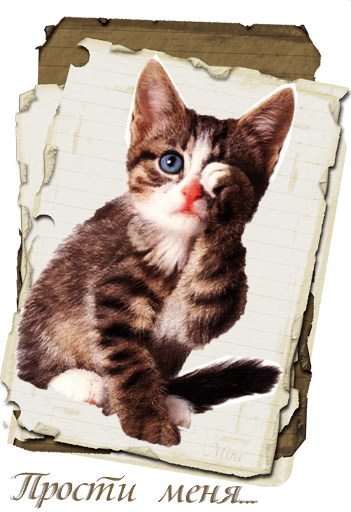 Красивые открытки с извинениями скачать бесплатно. Открытки прости меня gif.
