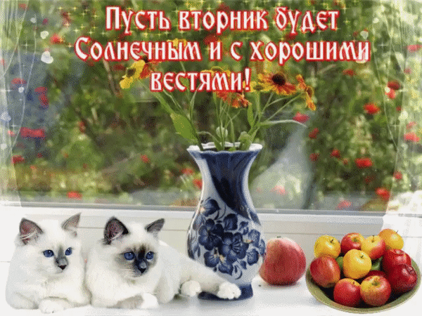 Позитивные открытки на вторник. Картинки про вторник скачать бесплатно.