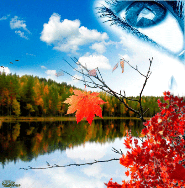 Оригинальные открытки с изображением осени. Открытки осень скачать бесплатно.