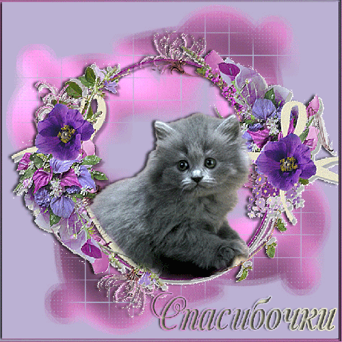 Анимационные открытки с благодарностью. Открытки спасибо скачать бесплатно.