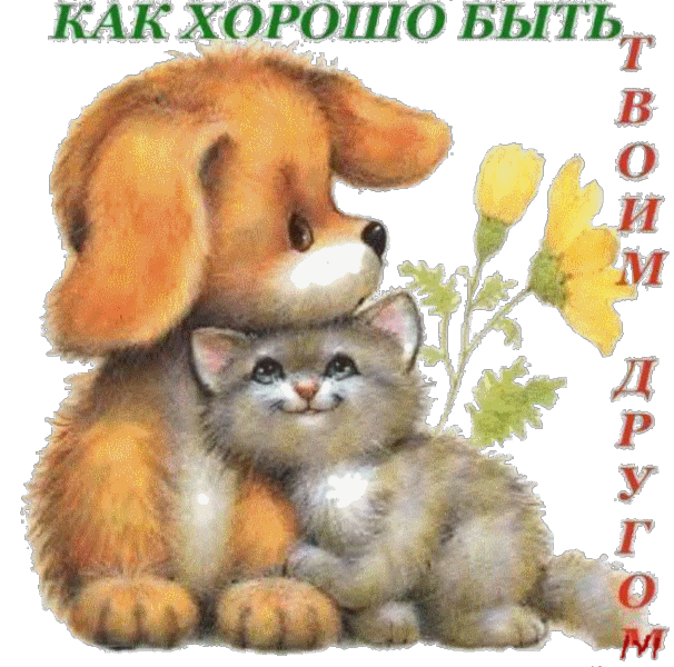 Красивые открытки для любимых друзей. Открытки о дружбе скачать бесплатно.