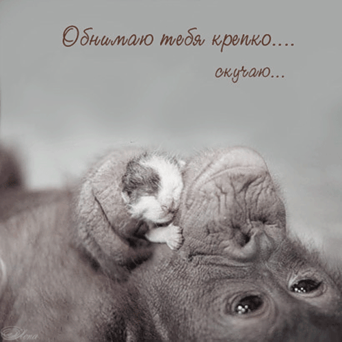 Анимационные открытки скучаю по тебе. Открытки я так скучаю скачать бесплатно.