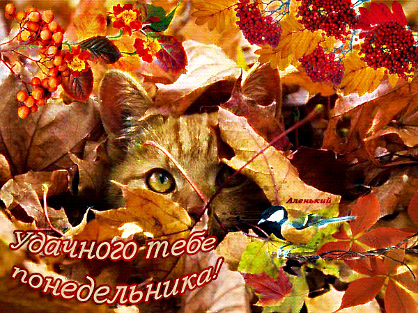 Открытки с пожеланиями легкого понедельника скачать бесплатно.