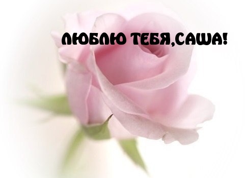 Открытки с именем Александра скачать бесплатно. Поздравительные открытки с им...