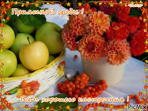 Открытки с пожеланиями отличной среды. Красивые открытки на среду.