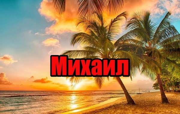 Фото имени миша