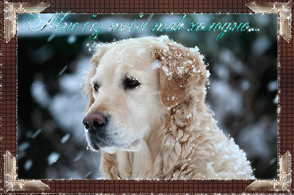 Анимационные открытки скучаю по тебе. Открытки я так скучаю скачать бесплатно.