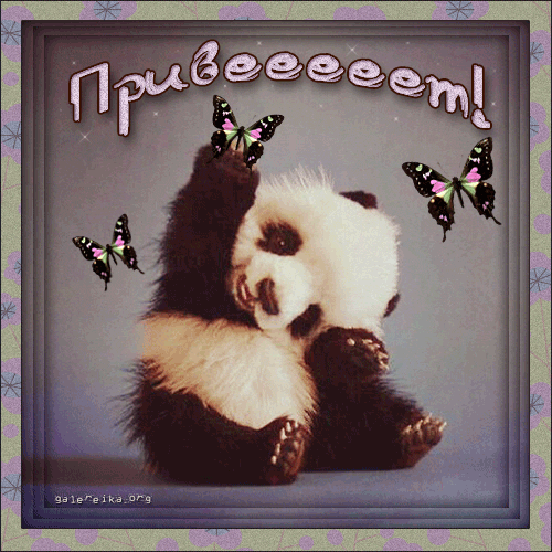 Красивые анимационные открытки с различными приветствиями скачать бесплатно.