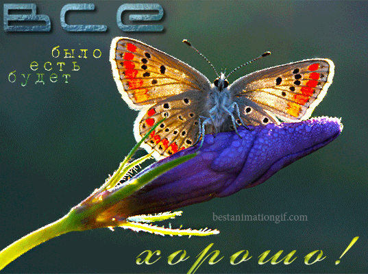 Веселые открытки с пожеланиями все будет хорошо скачать бесплатно.