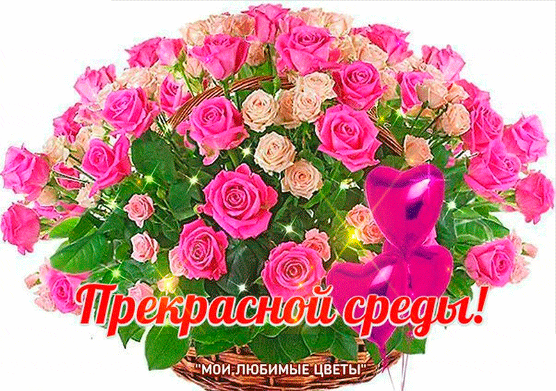 Открытки с пожеланиями отличной среды. Красивые открытки на среду.