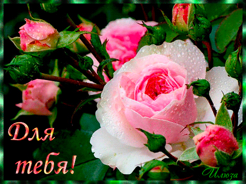 Красивые открытки для тебя скачать бесплатно. Анимационные открытки тебе gif