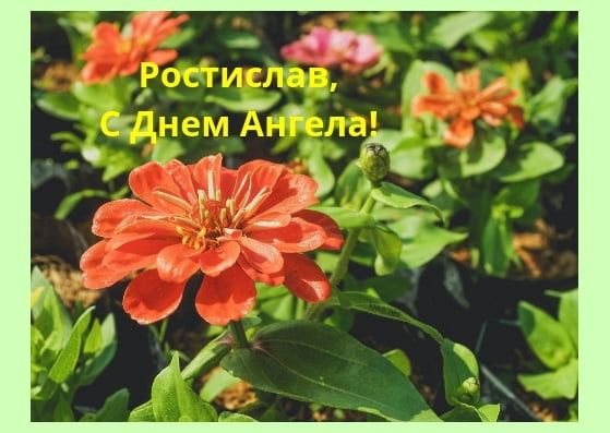 Открытки Открытки с именем Ростик скачать бесплатно. Открытки с мужскими именами. С днём рождения Ростислав открытки. Картинки про имя Ростислав на вотсап. Открытки на именины Ростиславу. Поздравительные открытки с именем Ростик. Красивые открытки с днем ангела Ростислав. Открытки с приколами на имя Ростик .
