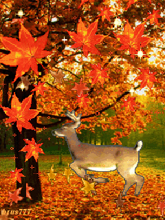 Оригинальные открытки с изображением осени. Открытки осень скачать бесплатно.