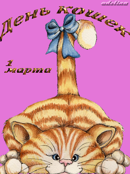 Скачать бесплатно прикольные открытки с днем кошек. Открытки с днем кошек gif.