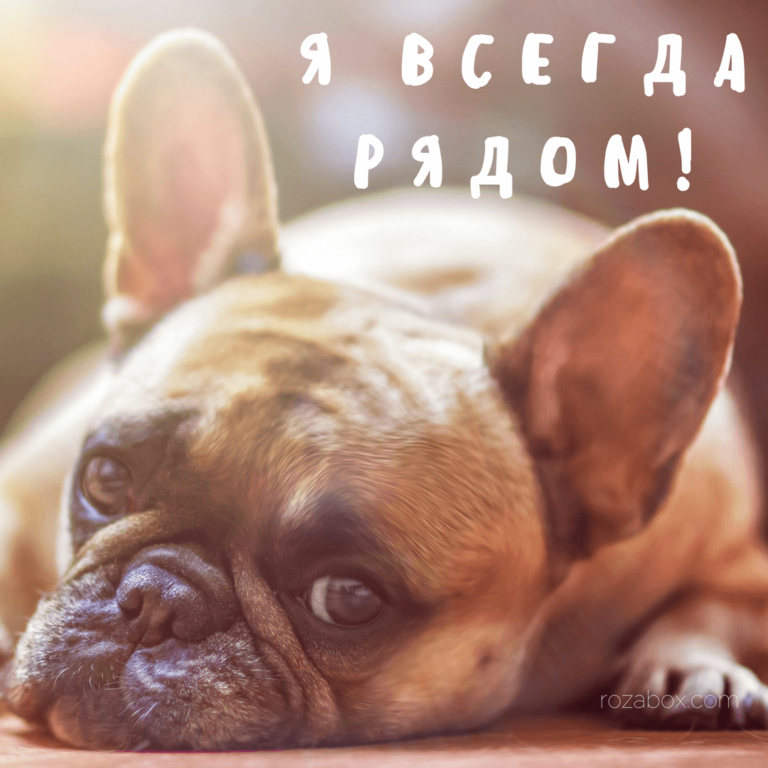 Открытки я всегда буду рядом. Открытки Открытки я рядом с тобой скачать беспл...