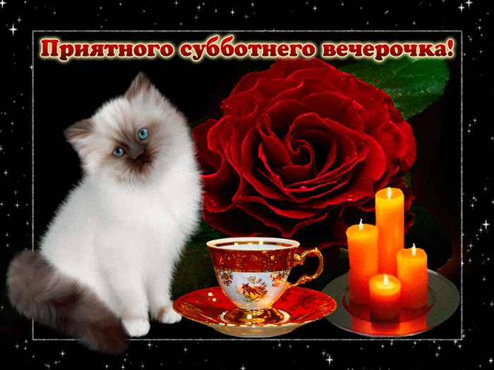 Интересные открытки на субботу. Веселые открытки на выходные.