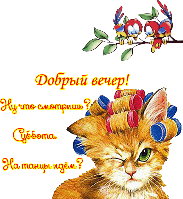 Интересные открытки на субботу. Веселые открытки на выходные.